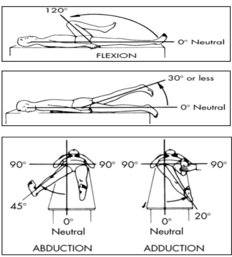 <p>movement in the coxofemoral joint</p>