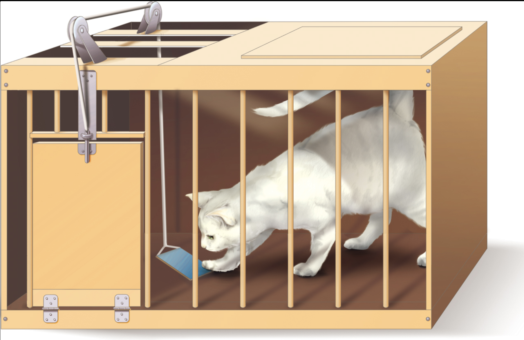 <p>Thorndike apparatus to test the operant conditioning using cats is called?</p>