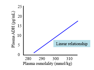 <p>Linear releationship. As osmolality increases, ADH increases</p>