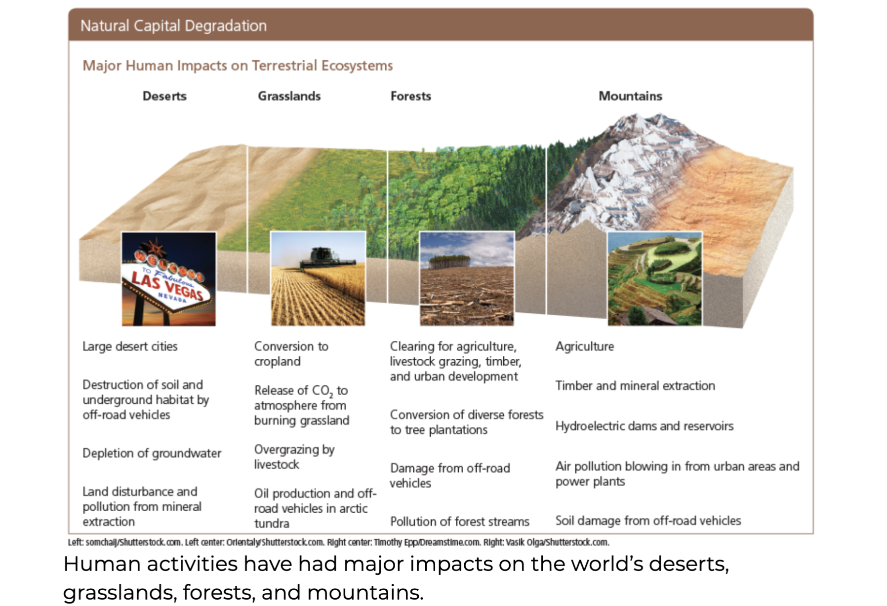 <p><span><strong>Mountains Play Important Ecological Roles</strong></span></p>