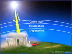 the ozone layer