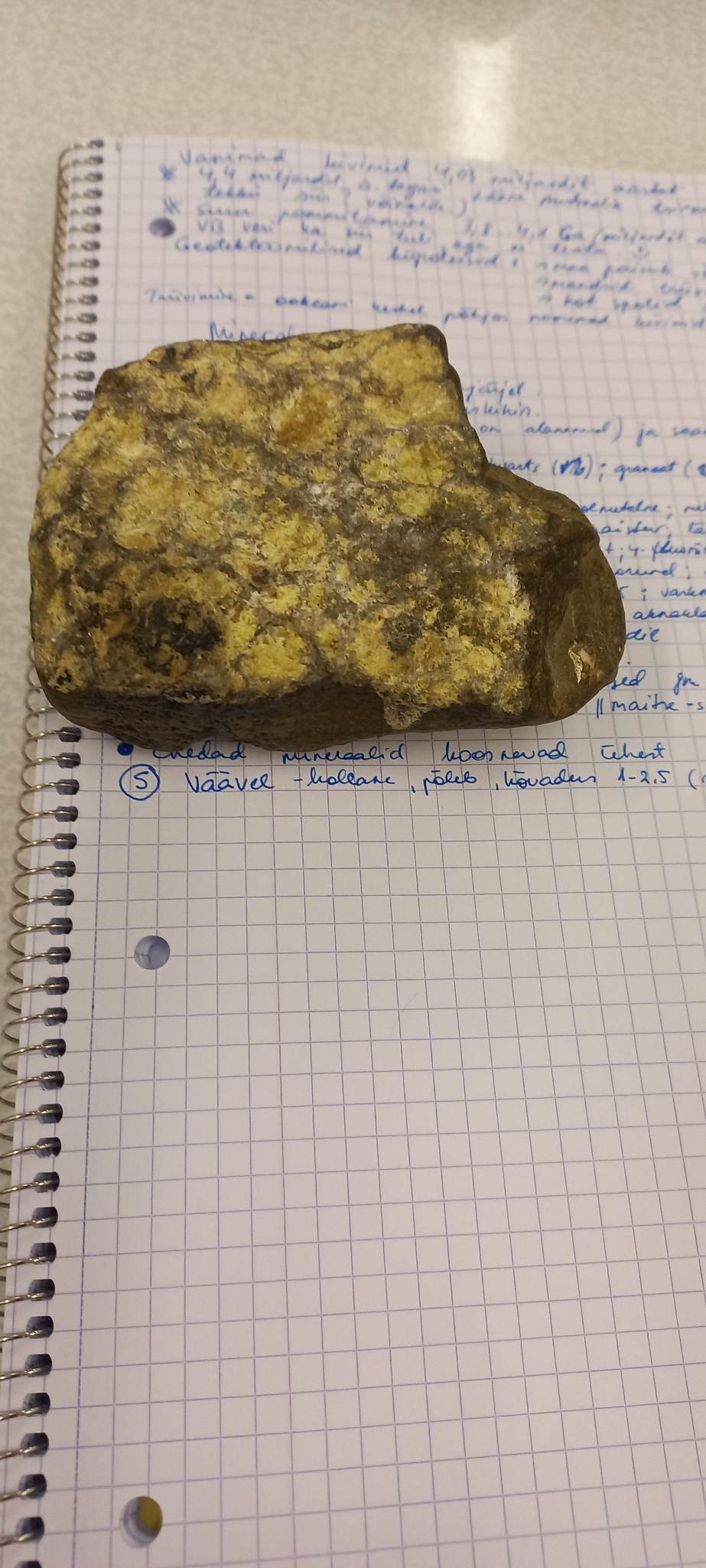 knowt flashcard image