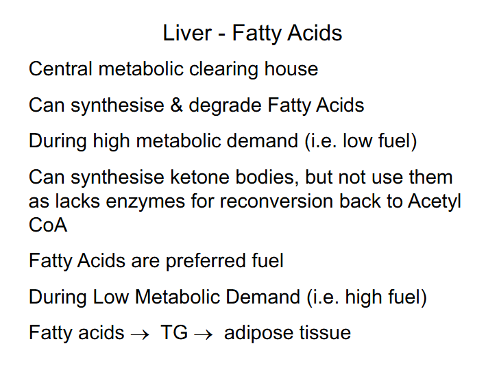 <p>Liver - Fatty Acids</p>