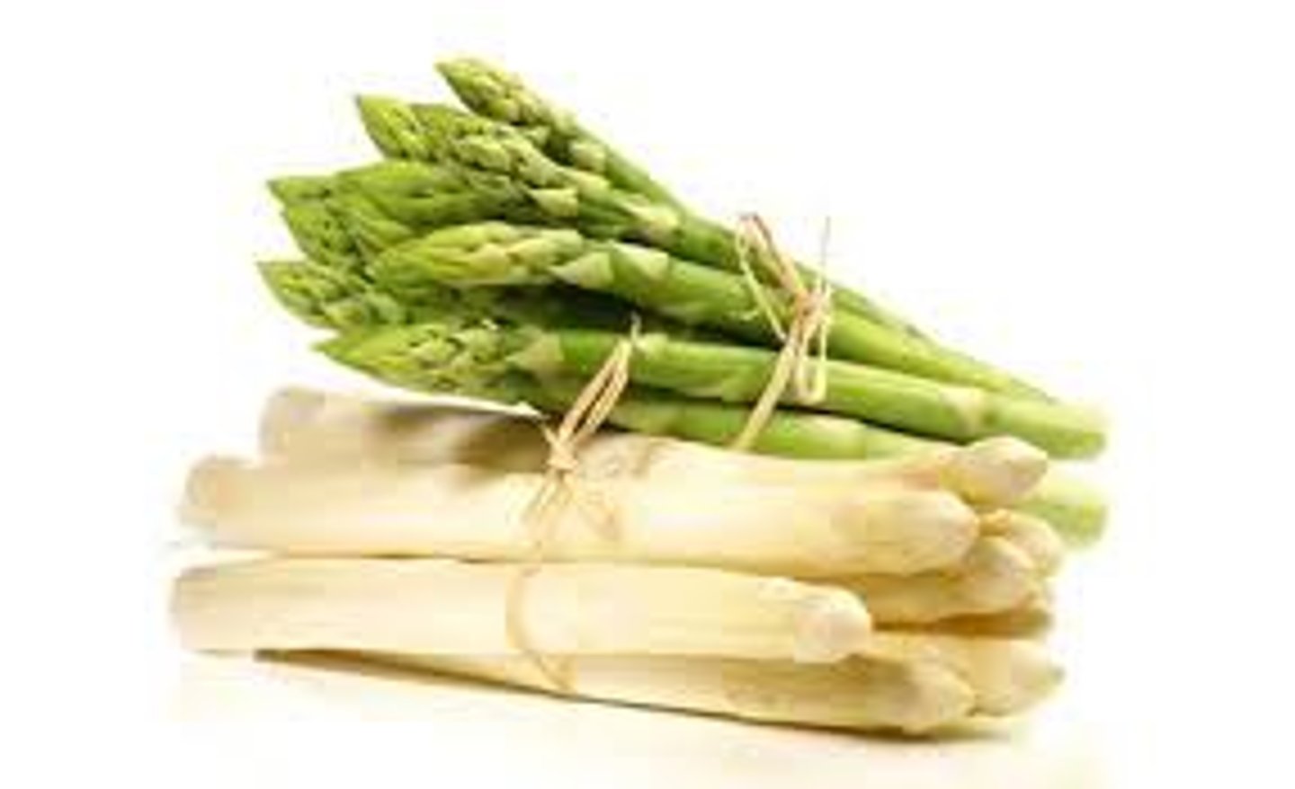 <p>asparagus</p>