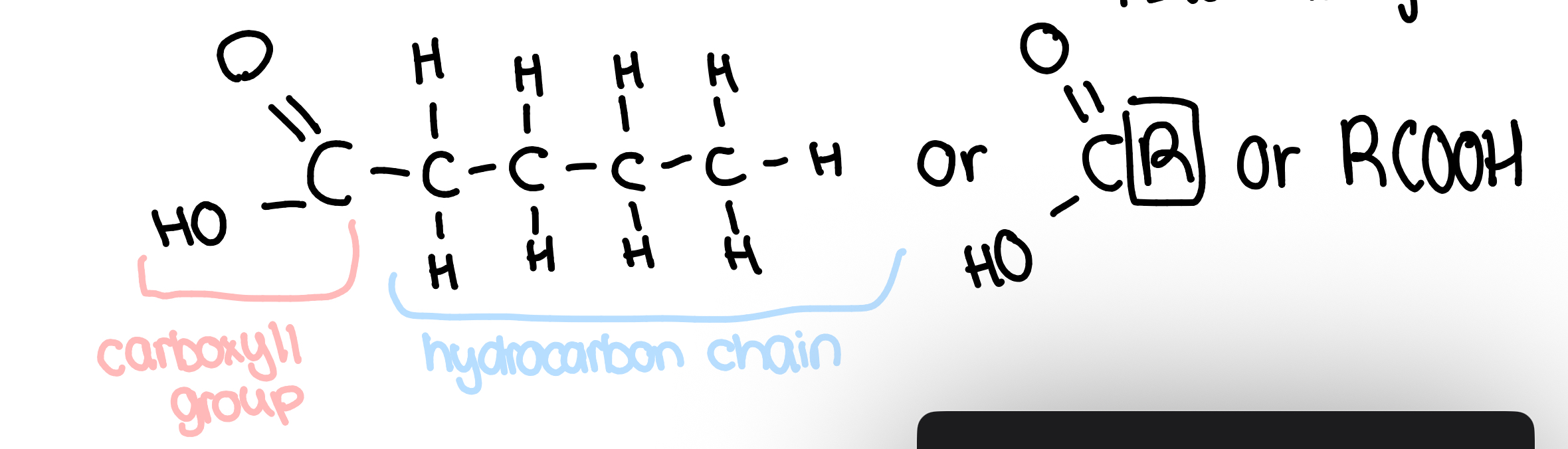 <ul><li><p>the -OH reacts w glycerol</p></li><li><p>the hydrocarbon chain is non-polar and hydrophobic</p></li><li><p>the variable region can vary in length of hydrocarbon chain, or if it is saturated or unsaturated</p></li></ul><p></p>