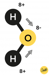 <p>Een <strong>polair molecuul</strong> is een <strong>molecuul waarbij de elektrische lading ongelijk verdeeld is</strong>.<br><br><span data-name="point_right" data-type="emoji">👉</span> Dat betekent dat het molecuul een <strong>gedeeltelijk positieve kant</strong> en een <strong>gedeeltelijk negatieve kant</strong> heeft.<br><br><strong>Lossen goed op in andere polaire stoffen</strong>, zoals water</p>