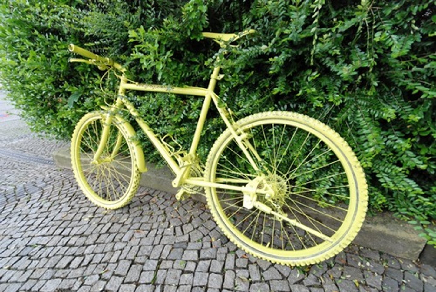<p>bicycle</p>