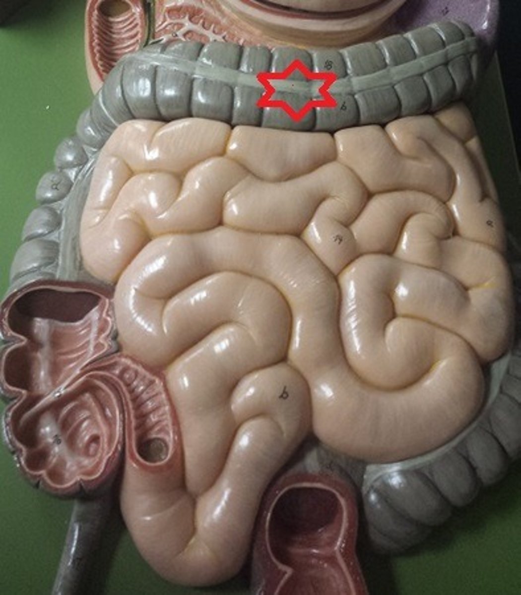 <p>What is the function?</p>