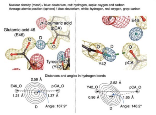 <p>describe the differences </p>