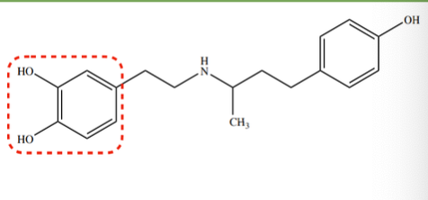 <p>cardiac stimulant</p><p>(Dobutrex [b], Dobuject, Inocard)</p>