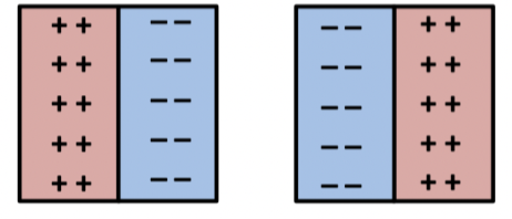 <p>Some have only one excitatory and inhibitory region- will respond best to a contrast edge of the correct orientation rather than to a bar</p><ul><li><p><span>Edge detectors</span></p></li></ul>