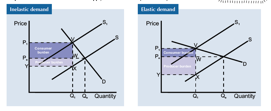 <p>• The more price inelastic the demand curve, the greater the tax burden for the consumer.</p><p>• The more price elastic the demand curve, the greater the tax burden for the producer.</p>