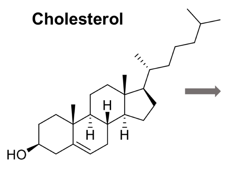 <p><mark data-color="yellow" style="background-color: yellow; color: inherit">Multicyclic</mark> hydrocarbon with <mark data-color="red" style="background-color: red; color: inherit">4 rings</mark> and a <mark data-color="purple" style="background-color: purple; color: inherit">short alphatic chain</mark></p><p></p>