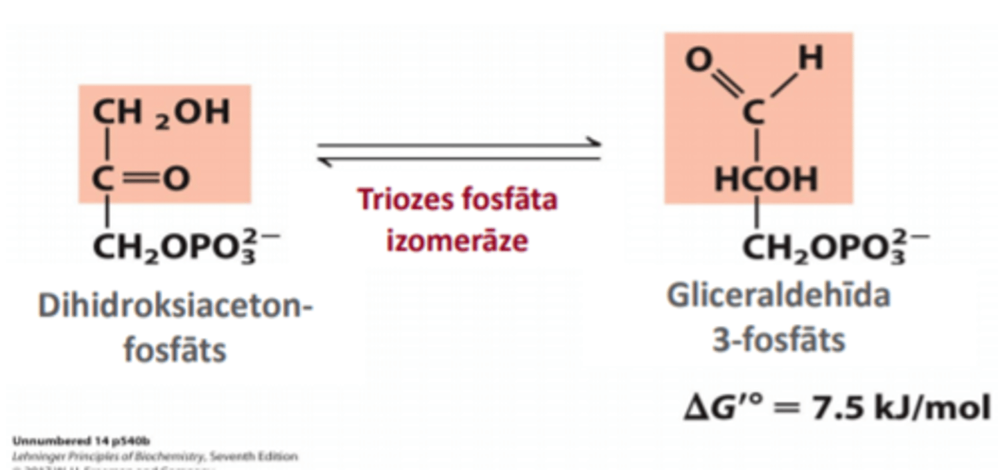 <p>dihidroksiacetonfosfāts --> gliceraldehīda 3-fosfāts</p><p>enzīms - triozes fosfāta izomerāze</p>