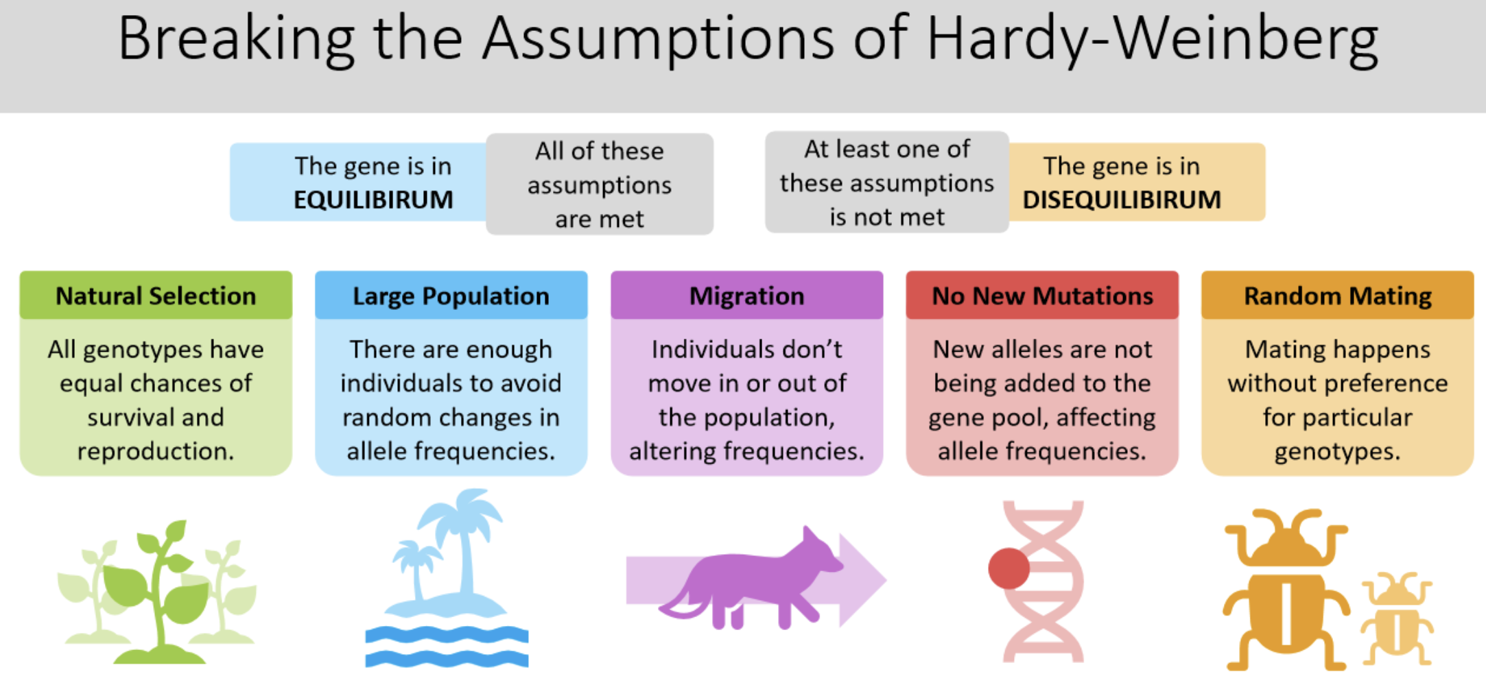 <p>(evolutionary principles)</p>