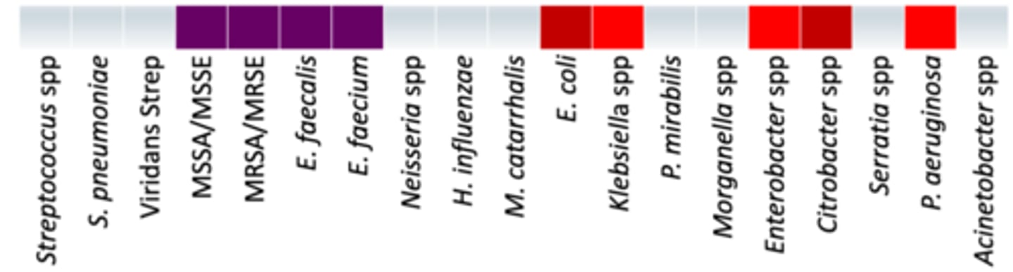 <p>• Anaerobes: -/-</p><p>• Coverage - </p><p>Works well for MSSA, MRSA, Enterococcus, E. Coli and Citrobacter</p>