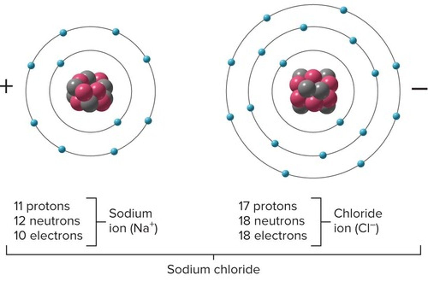 <p>Found in nucleus; Mass: one amu; Charge: +1</p>