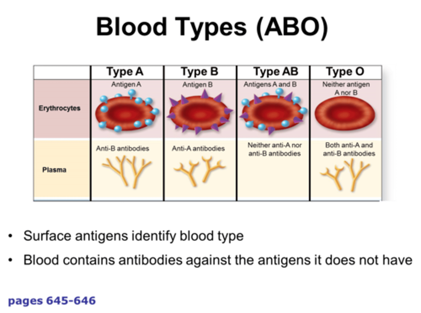 <p>Markers molecules (usually proteins) found on the surface of the cell that alert an immune response if they're detected as being foreign.</p>