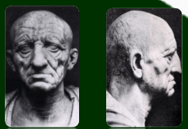 <ul><li><p>Roman Arts</p></li><li><p>Notable Roman Statues</p></li><li><p>It’s a 1st century BCE bust of a wrinkled and aged face of an unknown upper-class Roman citizen. </p></li><li><p>This marked the change of the ideal portrayal of a Roman depicting a strong and youthful image but a prized and experienced and accomplished public servant. </p></li><li><p>This also defies the Greek culture of copying or portraying images of their great mighty leaders and gods.</p></li></ul><p></p>