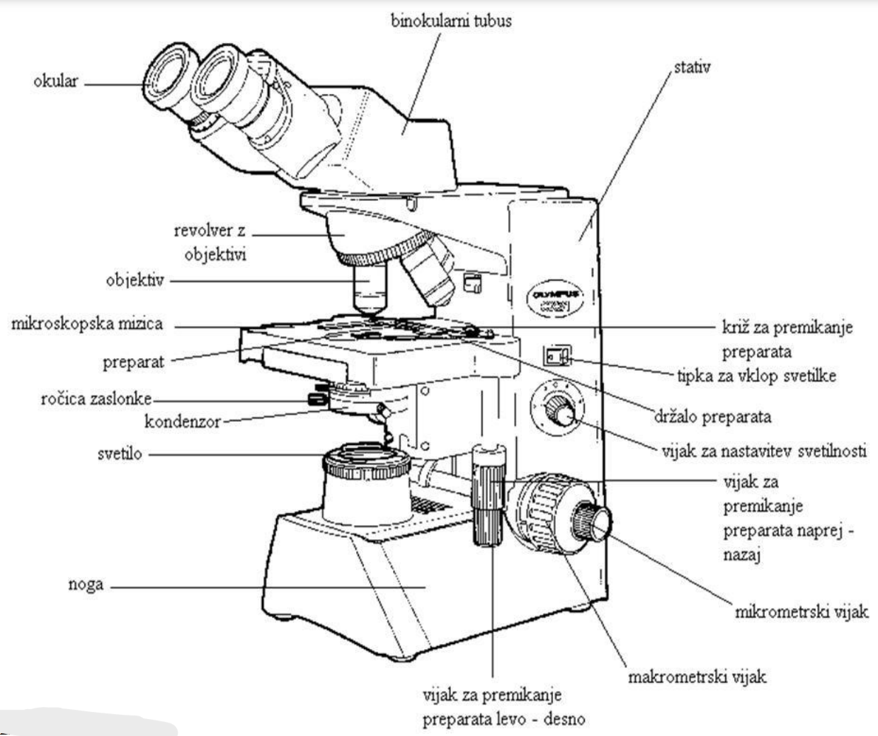 <p>Strukture manjše od 0,2 mikrometra ali strukture, ki ne prepuščajo svetlobe. Takrat uporabimo elektronski mikroskop, s katerim skozi objekt usmerimo snop elektronov. Elektronski mikroskop ima elektromagnetne leče.</p>