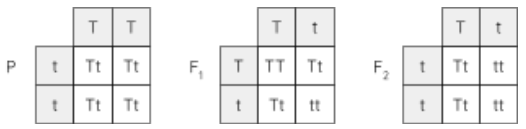 <p>all one type, 1:1, 3:1</p>