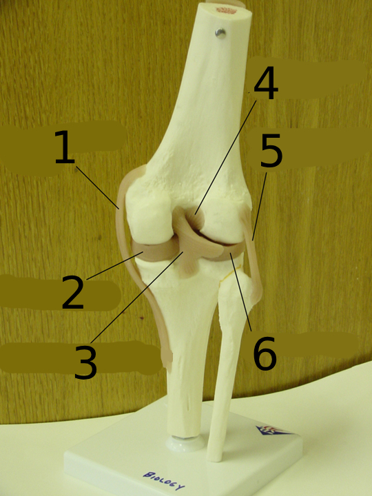 <p>#2</p>