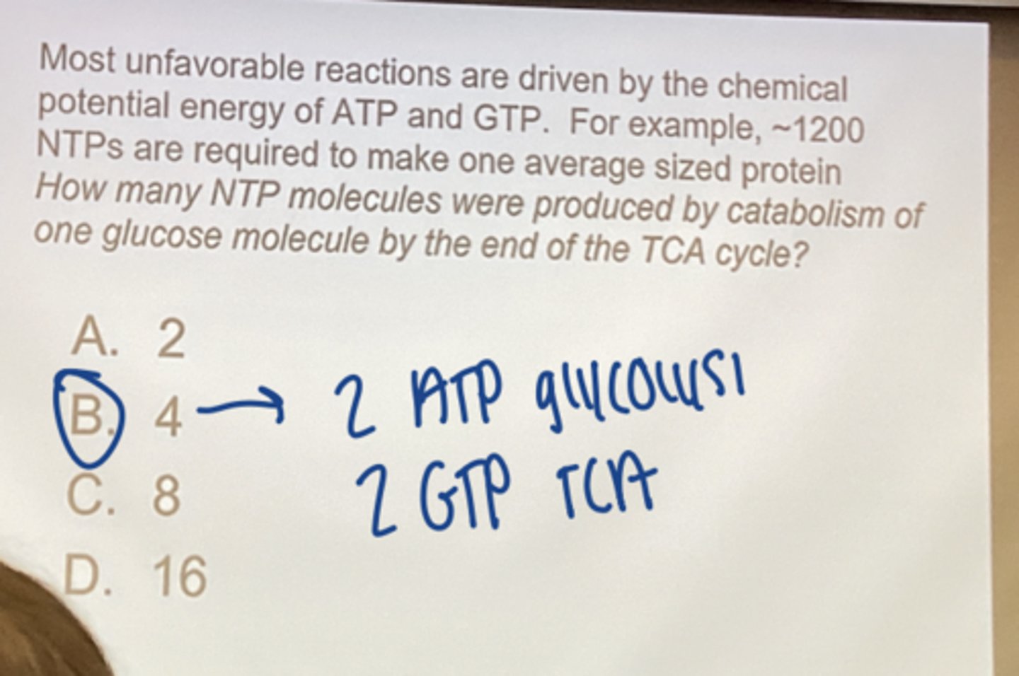 <p>4 (2 ATP glycolyis, 2 GTP TCA)</p>
