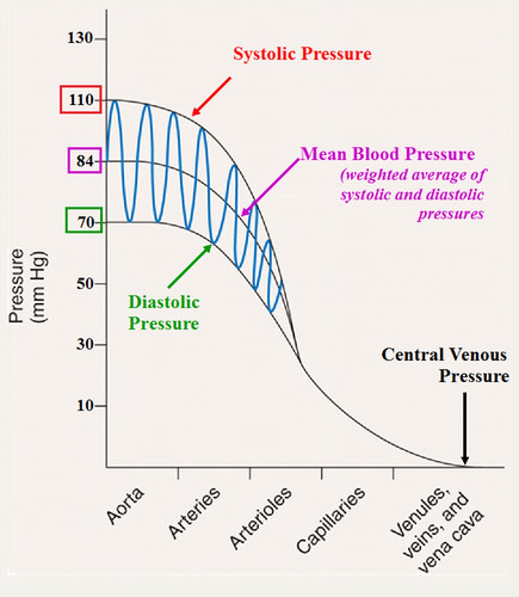 <p>pressure driving blood into tissues averaged over cardiac cycle</p>