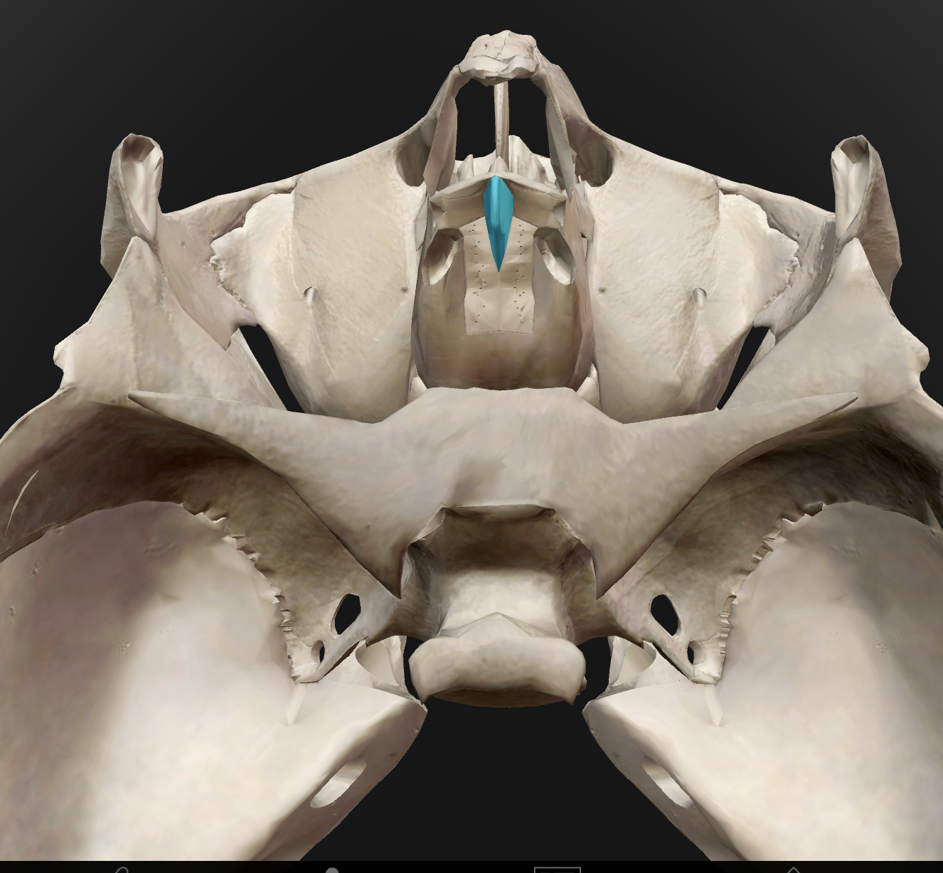 <p>What is the name of this feature?</p>