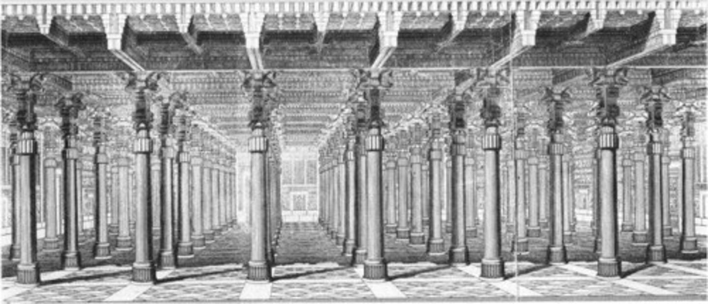 <p>King Xerxes throne hall in Persepolis. it was the largest roofed area at 250 feet squared</p>