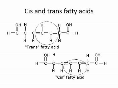 <ul><li><p><strong>Cis-fatty acids</strong>: Found in both mono- and poly-unsaturated fatty acids. Hydrogen atoms are on the <strong>same side</strong> of the double bond, creating a kink in the chain. These fats are typically found in natural oils (e.g., olive oil) and are metabolized efficiently.</p></li><li><p><strong>Trans-fatty acids</strong>: May form during hydrogenation of unsaturated fats. Hydrogen atoms are on <strong>opposite sides</strong> of the double bond, straightening the chain, allowing tighter packing like saturated fats. Trans-fats are associated with <strong>coronary heart disease</strong> as they are not metabolized efficiently and can increase harmful cholesterol levels</p></li></ul><p></p>
