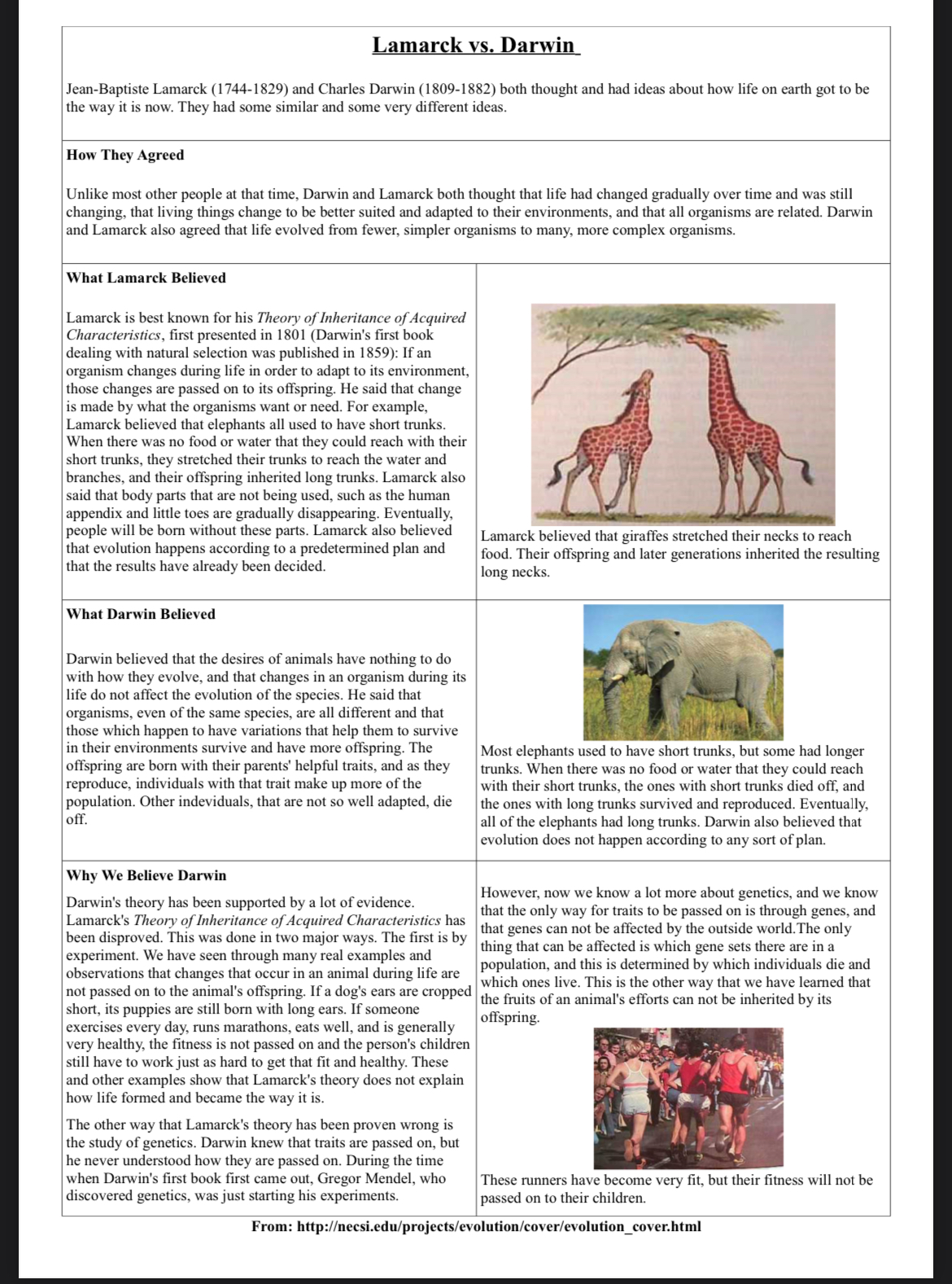 <p>Lamarckian Theory</p>