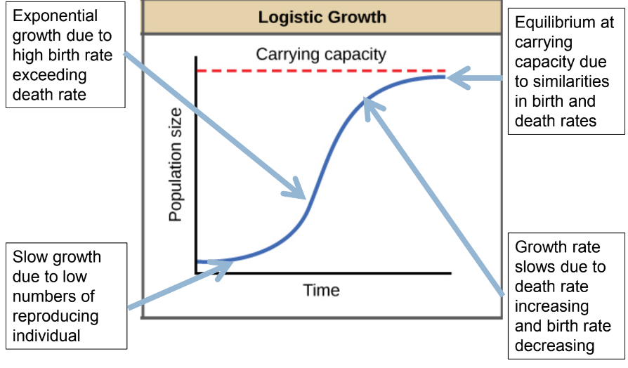 <p>S - Shaped curve of population growth</p>