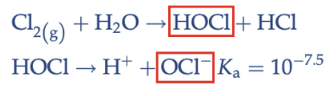 <p>HOCl and OCL- </p>