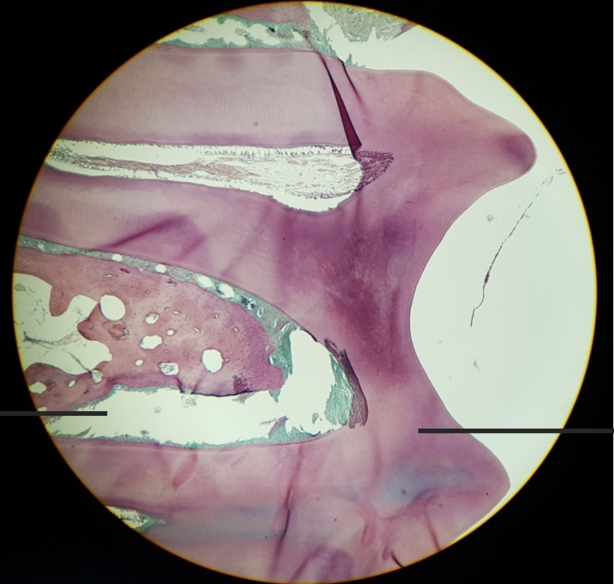 <p>what is this?&nbsp;</p>