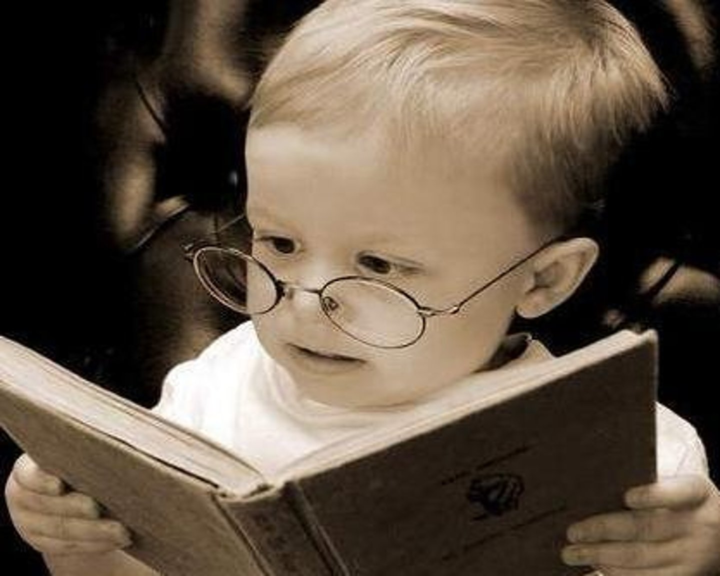 <p>a person's general knowledge, vocabulary, and reasoning based on acquired information</p>
