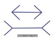 <ul><li><p>Niet ten gevolge van disfunctioneren van zintuigen, maar wel door normale functionering van de zintuigen.</p></li><li><p>Hoe kunnen we de Muller-Lyer-illusie verklaren?</p></li></ul>