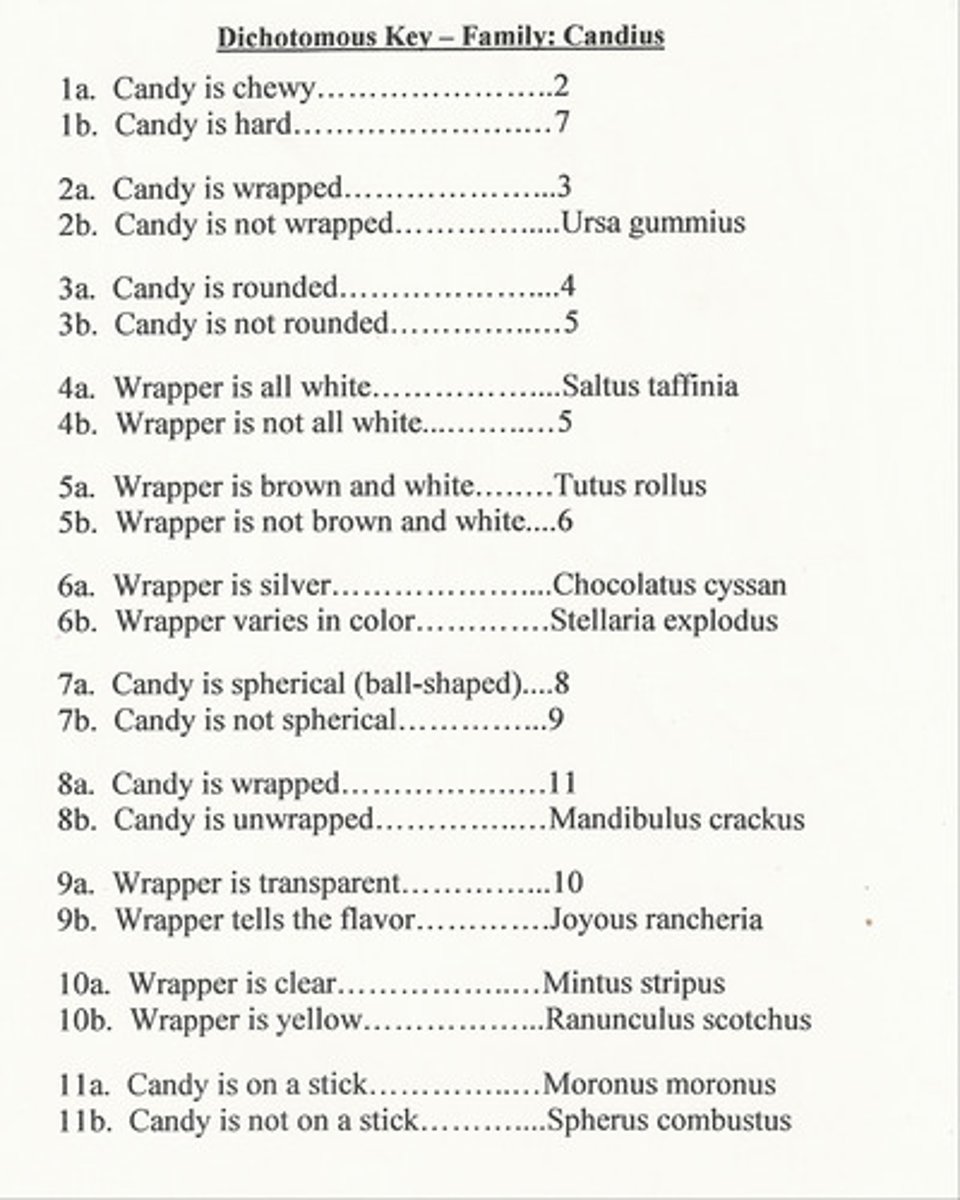 <p>What is the classification trail for joyous rancheria?</p><p>A. 1b, 7a, 8b B. 1b, 7b,9a C. 1b,7b,9b</p>