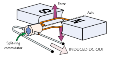 <ul><li><p>Dynamos work in the same way as alternators, apart from one important difference.</p></li><li><p>They have a split-ring commutator instead of slip rings.</p></li><li><p>This swaps the connection every half turn to keep the current flowing in the same direction (similar to the motion of a dc motor)</p></li></ul><p></p>