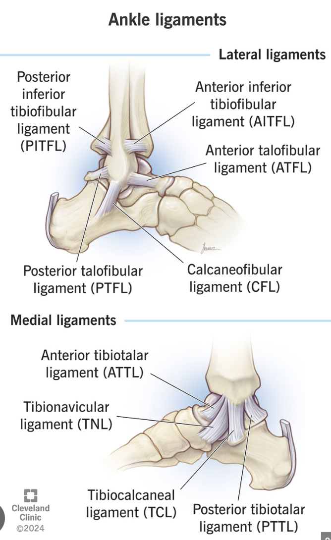<p>How to assess difference between:</p><ul><li><p>Anterior TIBIO-FIBULAR Ligament Sprain:</p></li><li><p>Anterior TALO-FIBULAR Ligament Sprain (ATFL):</p></li></ul><p></p>