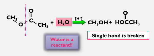 Water is used to break a single bond. 

\
Water is a reactant! 