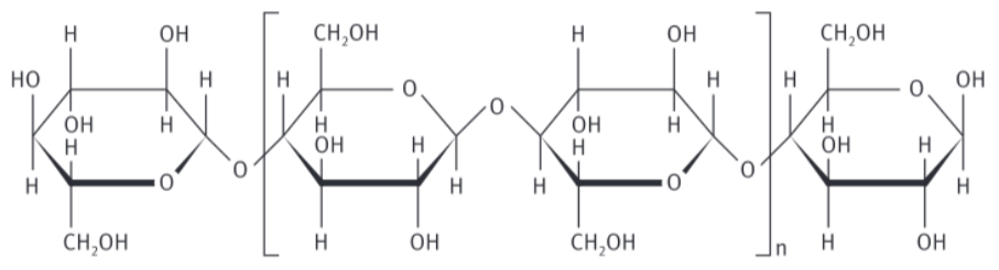 <p>= polysacharide opgebouwd uit b-glucose eenheden.</p>