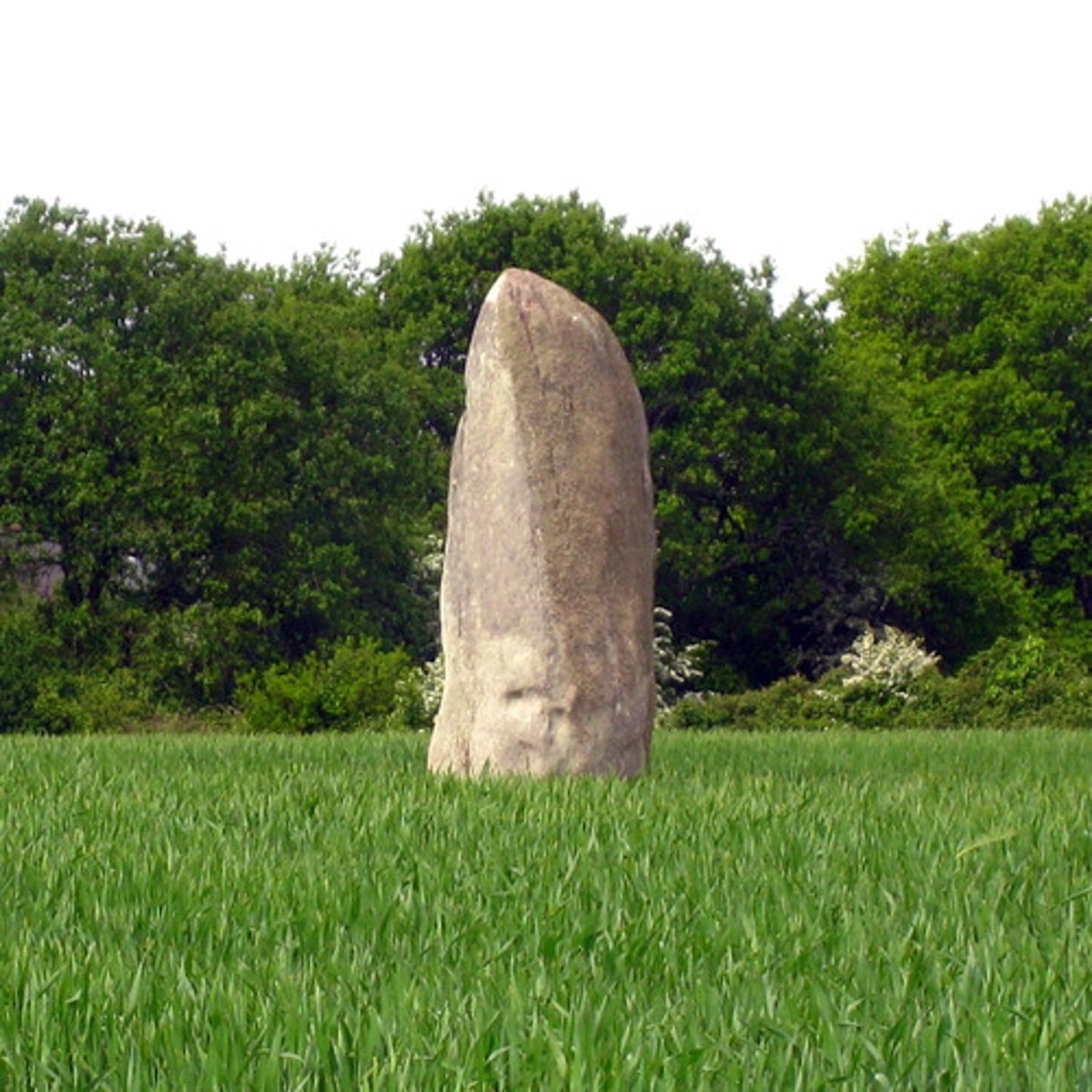 <p>large, upright standing stone often used in monument in prehistoric times</p>
