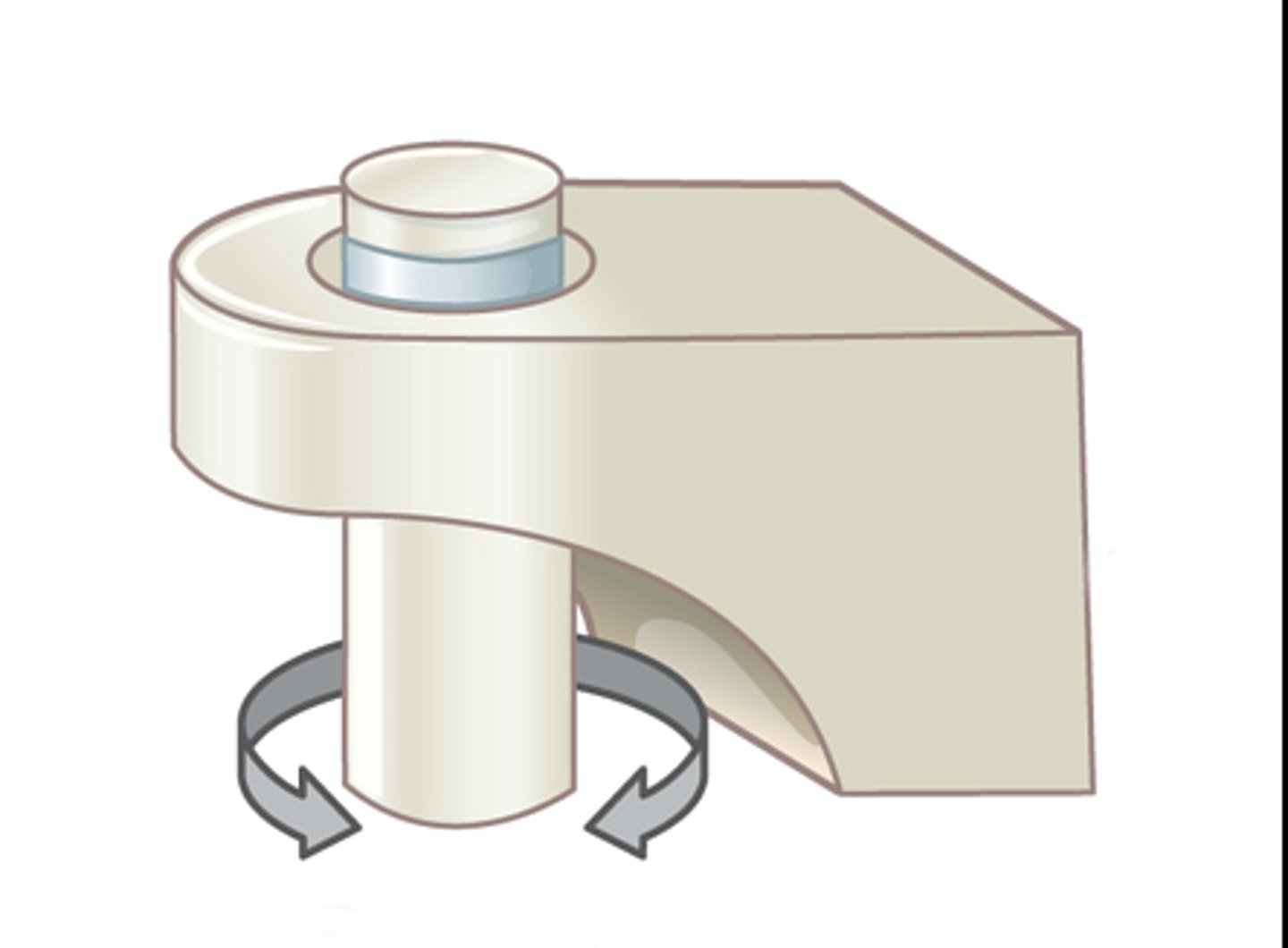 <p>rotating bone turns around an axis</p>