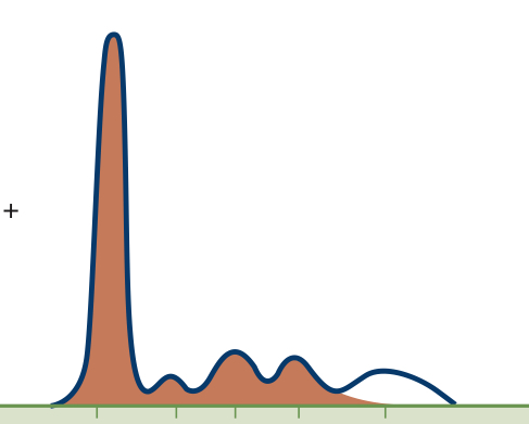 <p>No Gamma (ɣ) globulin peak</p>