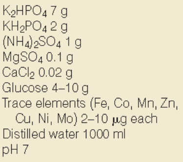 <p>The recipe shown in the image is an example of what kind of media?</p>