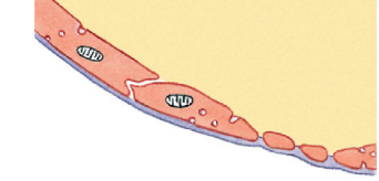 <p>What is this?</p>