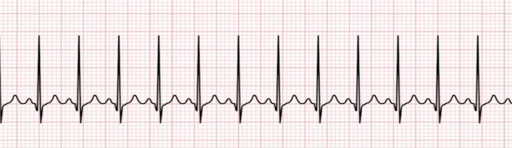 <p>what is this?</p>