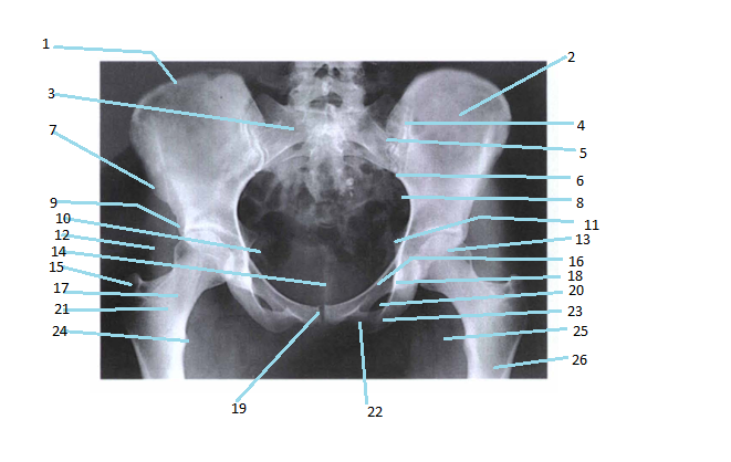 <p>6</p>