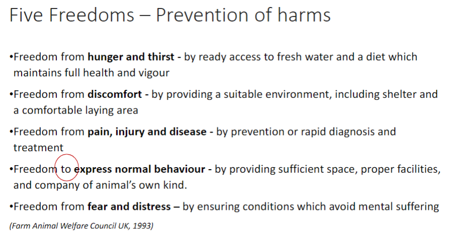 <p><strong>Freedom from Hunger and Thirst</strong><br> Achieved by ready access to <strong>fresh water</strong> and a <strong>diet</strong> that maintains full <strong>health</strong> and <strong>vigour</strong></p><p><strong>Freedom from Discomfort</strong><br> Provided through a suitable <strong>environment</strong>, including <strong>shelter</strong> and a <strong>comfortable laying area</strong></p><p><strong>Freedom from Pain, Injury, and Disease</strong><br> Ensured by <strong>prevention</strong> or rapid <strong>diagnosis</strong> and <strong>treatment</strong></p><p><strong>Freedom to Express Normal Behaviour</strong><br> Enabled by sufficient <strong>space</strong>, proper <strong>facilities</strong>, and <strong>company</strong> of the animal’s own kind</p><p><strong>Freedom from Fear and Distress</strong><br> Maintained by ensuring <strong>conditions</strong> that avoid <strong>mental suffering</strong></p>